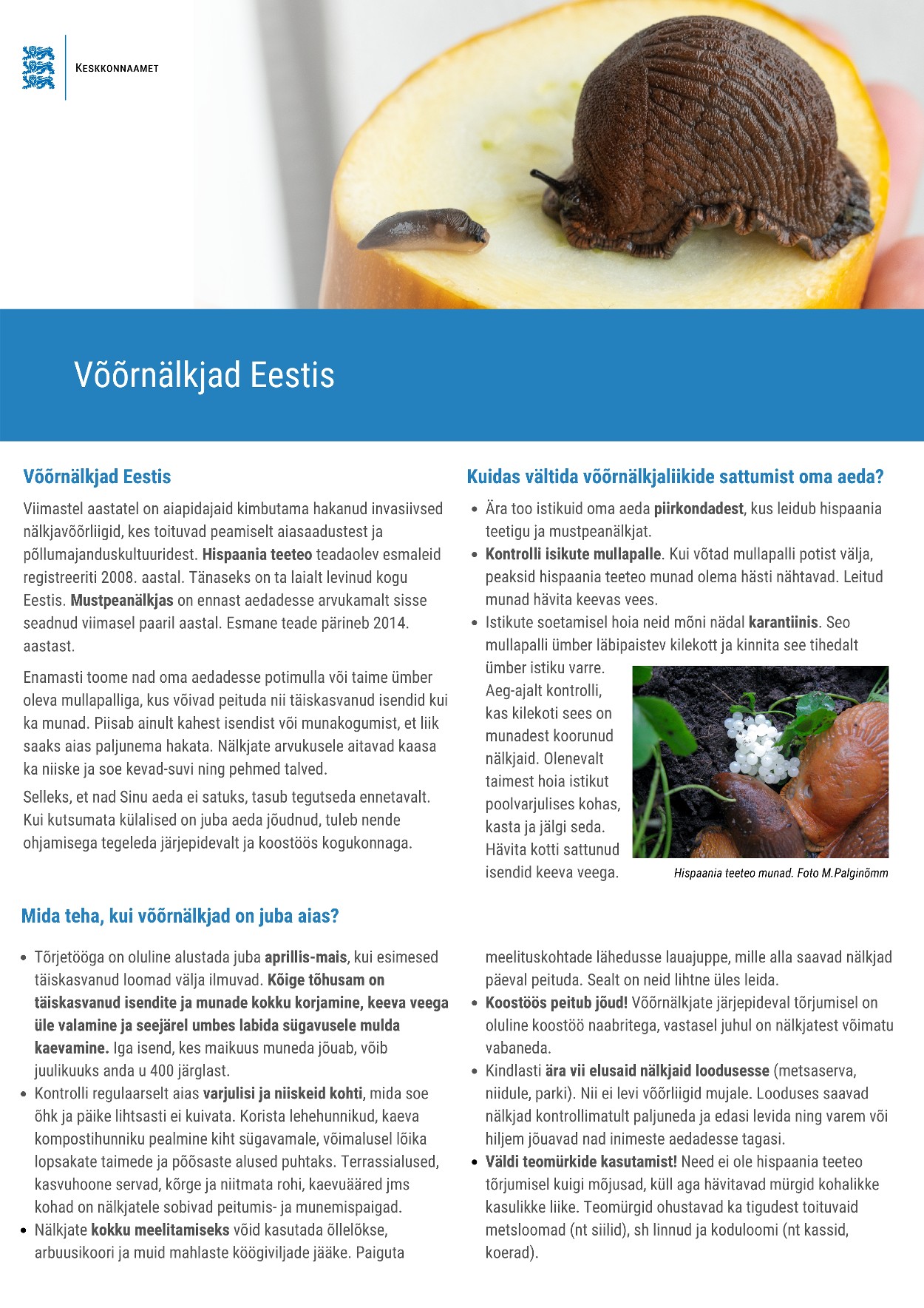 Võõrnälkjad Eestis infovoldik