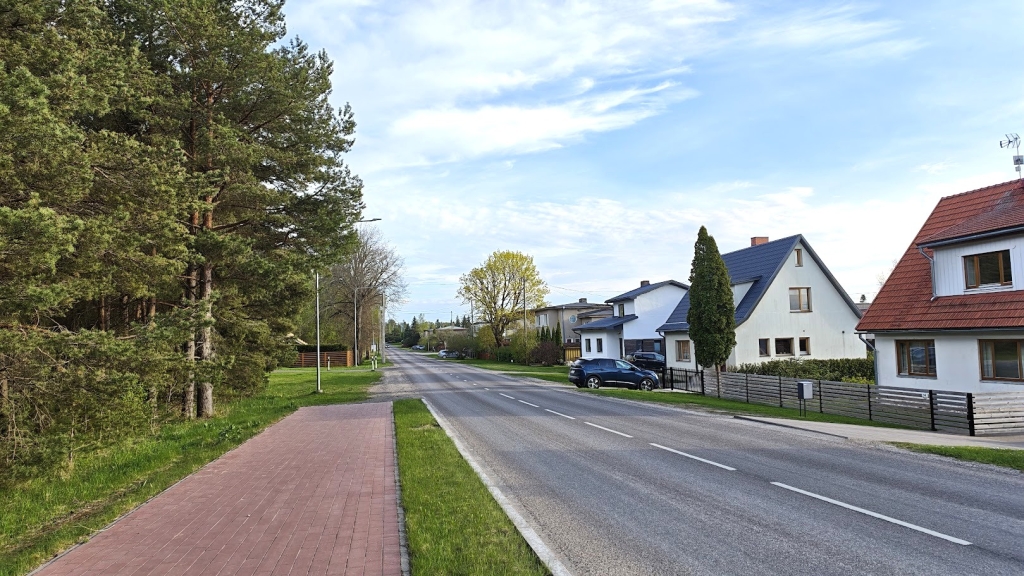 Uus tee ühendab juba varasemalt Tammiku tänavale osaliselt rajatud ning Lilleoru tänava kergliiklusteed 