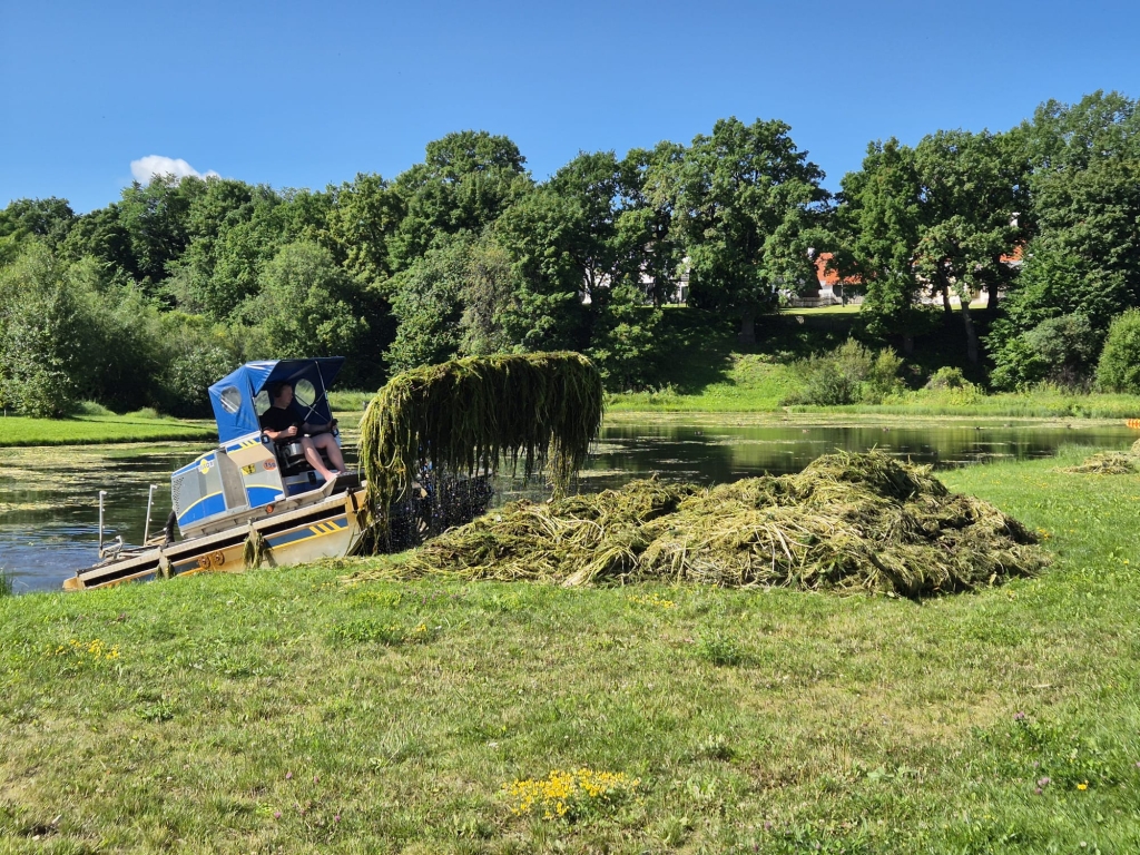 Veetaimestiku niitmine Rakvere Süstatiigil